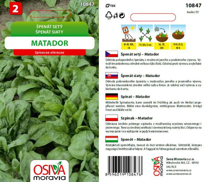 Špenát MATADOR