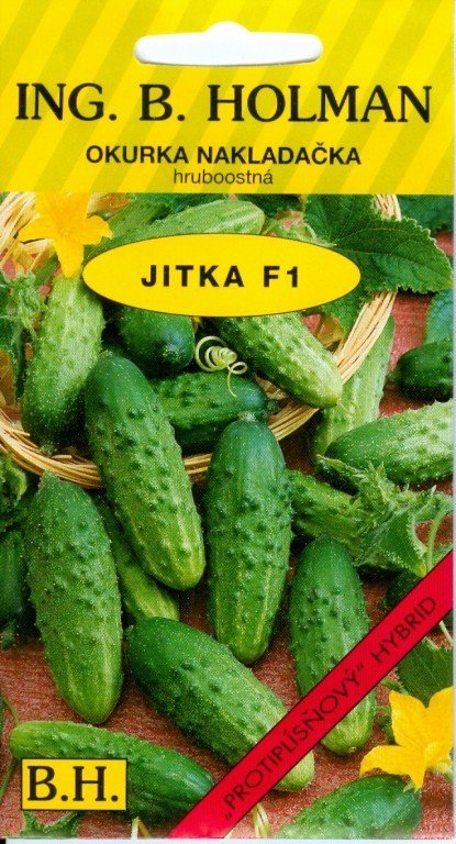 Okurka JITKA F1
