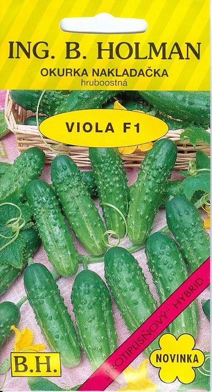 Okurka VIOLA F1