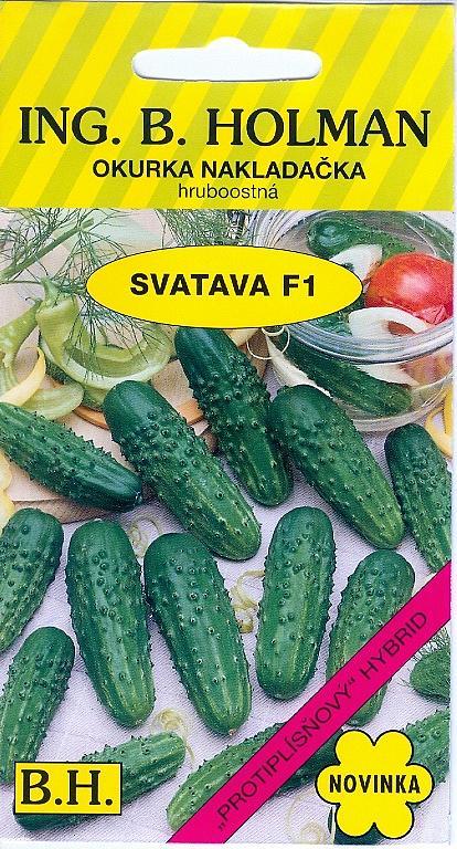 Okurka SVATAVA F1