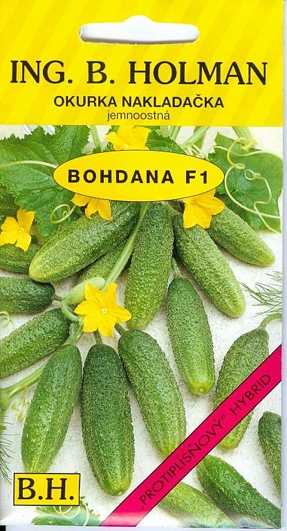 Okurka BOHDANA F1