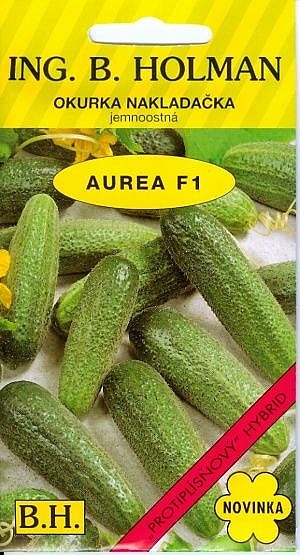 Okurka AUREA F1