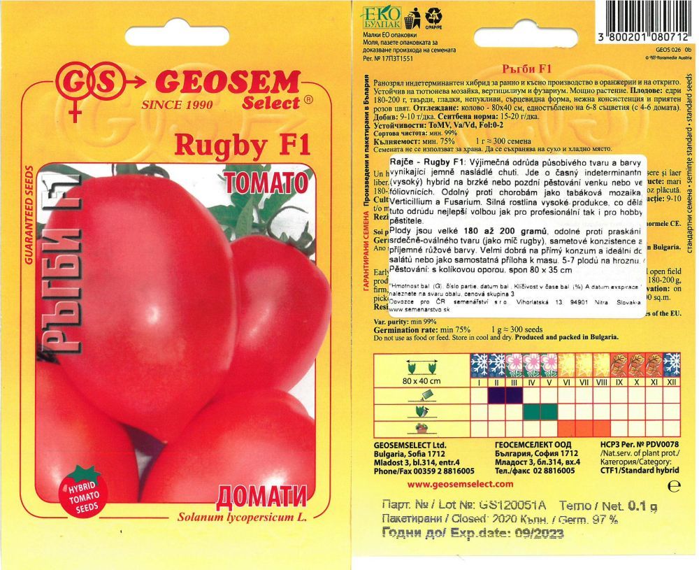 Bulharské rajče RUGBY F1