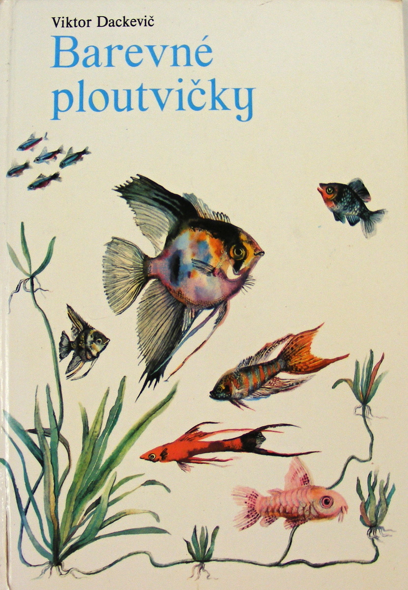 Barevné ploutvičky - Viktor Dackevič