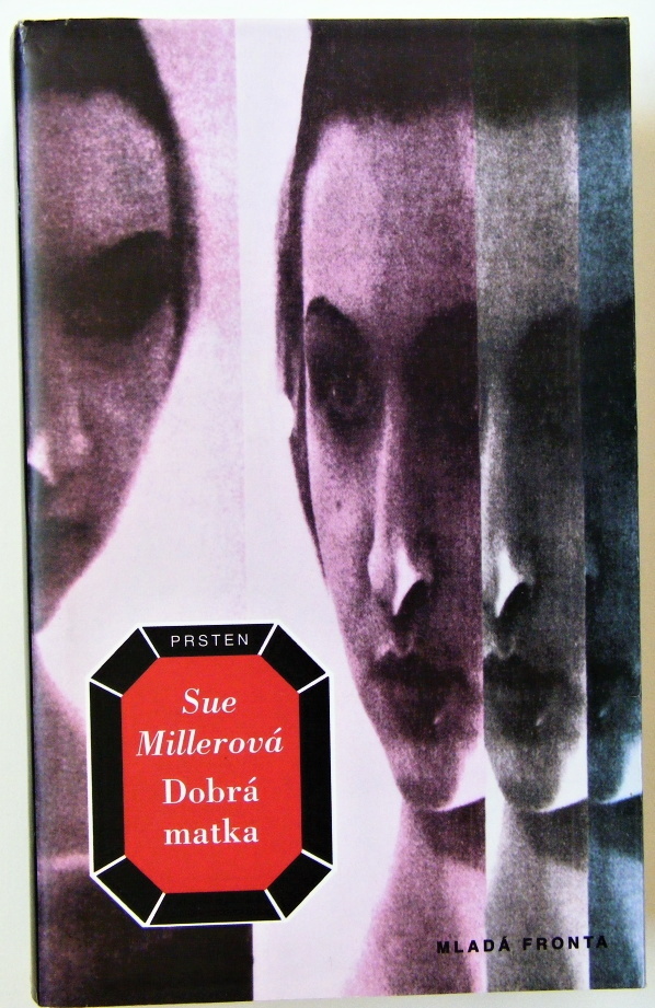 Dobrá matka - Sue Miller