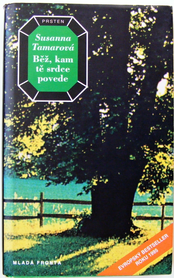 Běž, kam tě srdce povede - Susanna Tamaro