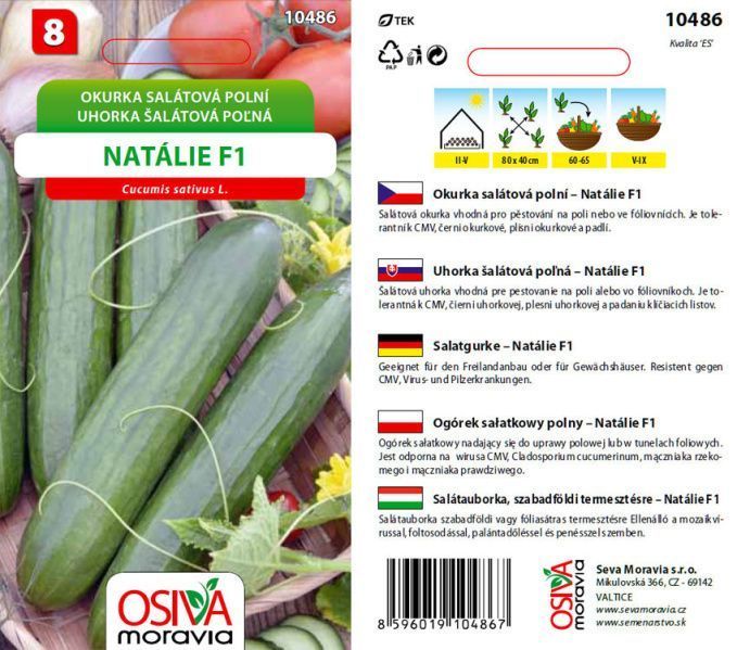 Okurka NATALIE F1 OsivaMoravia