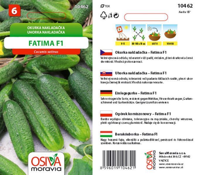 Okurka FATIMA F1