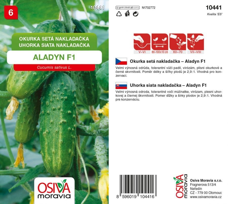 Okurka ALADYN F1
