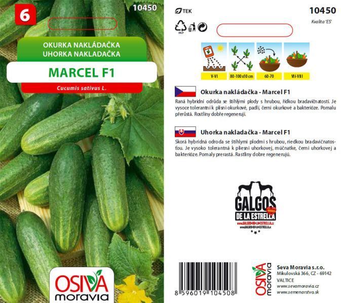 Okurka MARCEL F1