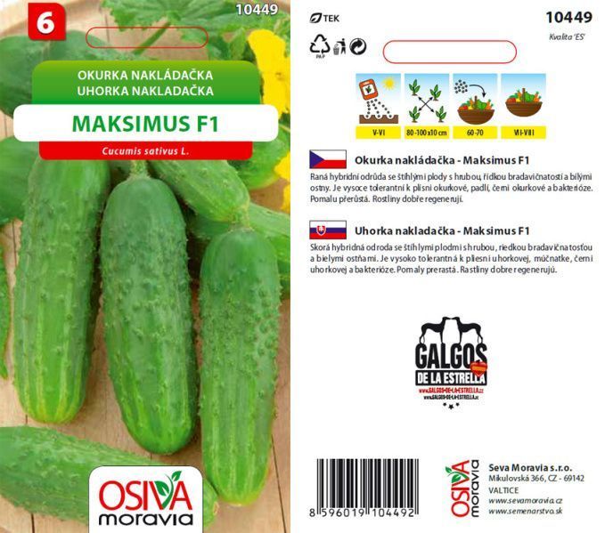 Okurka MAKSIMUS F1