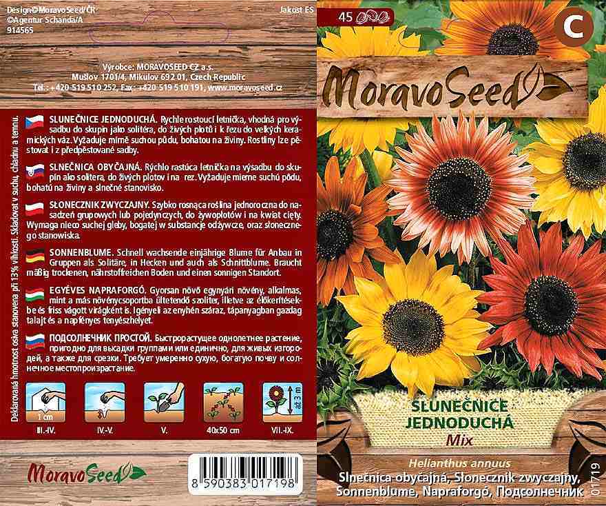 Slunečnice jednoduchá - mix