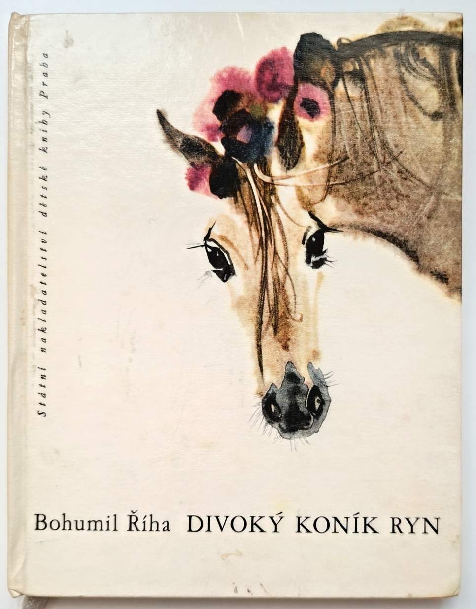 Divoký koník Ryn - Bohumil Říha