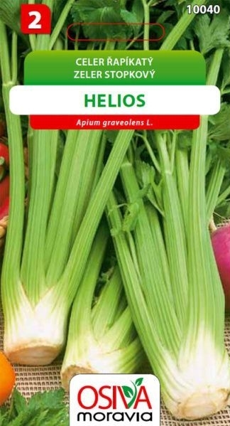 Řapíkatý celer HELIOS