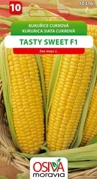 Kukuřice cukrová TASTY SWEET F1