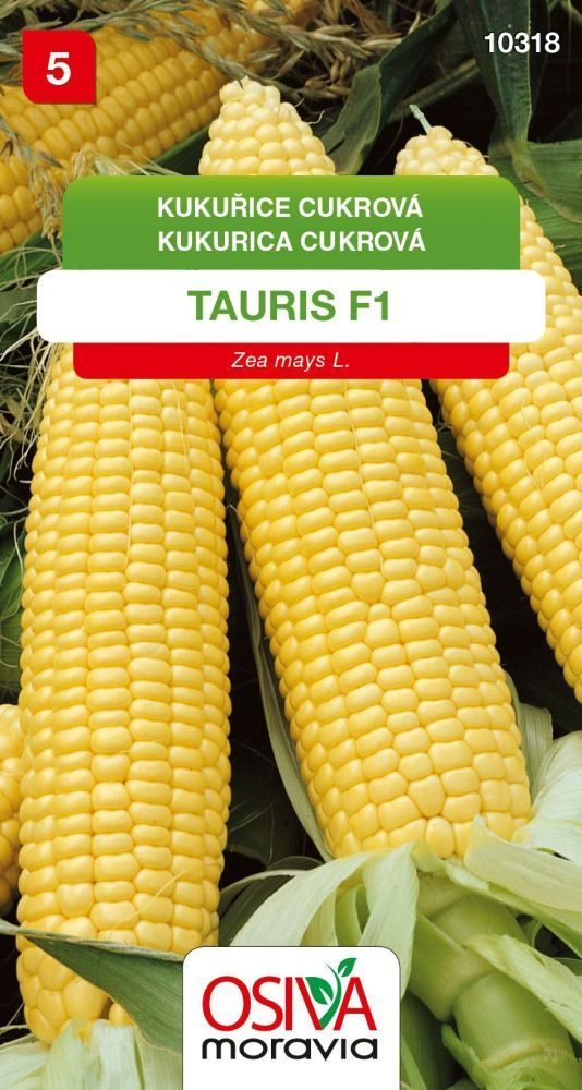 Kukuřice cukrová TAURIS F1