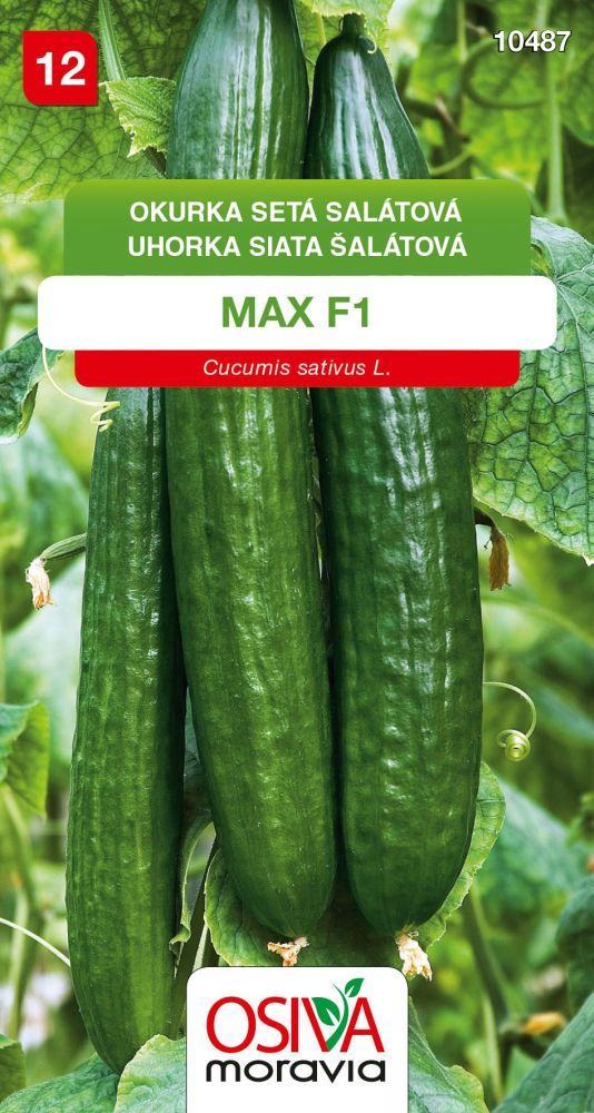 Salátová okurka MAX F1