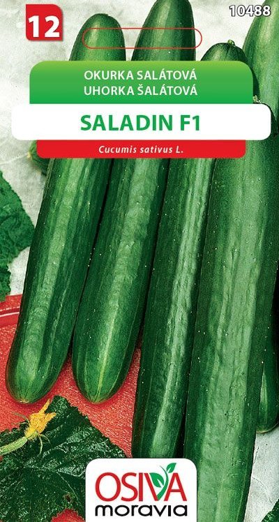 Salátová okurka SALADIN F1