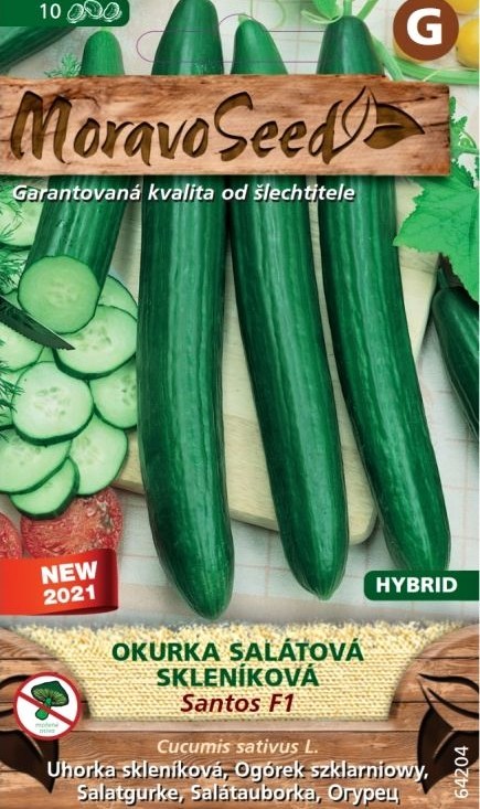 Salátová okurka SANTOS F1