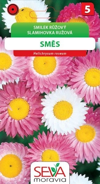 Smilek růžový směs (růžová,bílá)