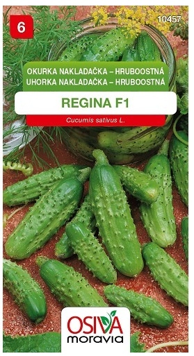 Okurka REGINA F1