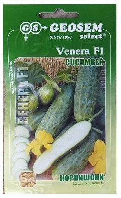 Okurka - bulharská odrůda Venera F1