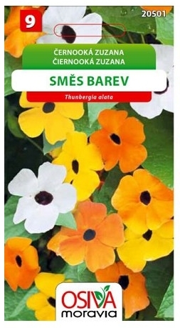 Černooká Zuzana mix