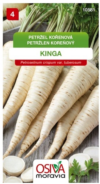 Petržel KINGA