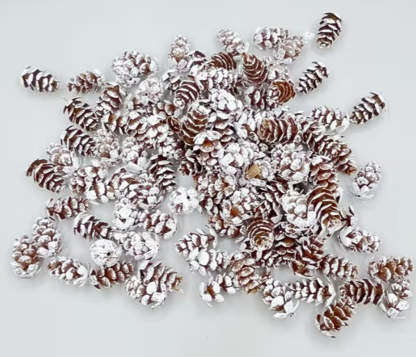 Šiška zasněžená