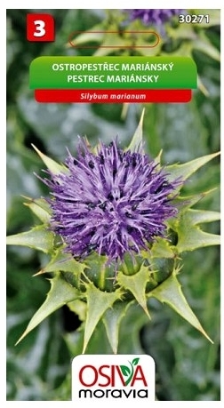 Ostropestřec marianský