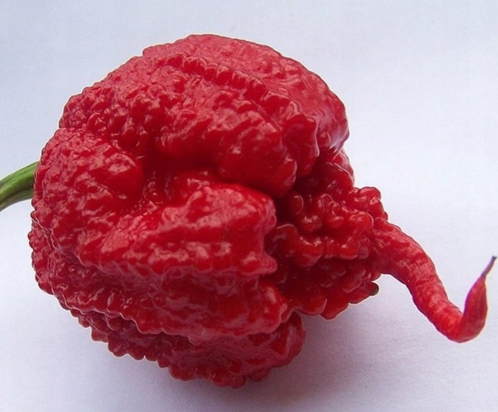 Chilli papričky MIX