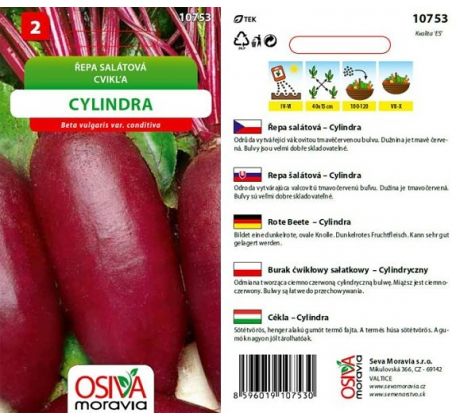 Řepa CYLINDRA