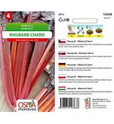 Mangold RHUBARB CHARD