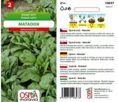 Špenát MATADOR