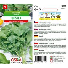 Roketa setá RUCOLA