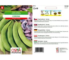 Tyčkový zahradní fazol Corona