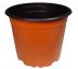 Sadbový květináč - 11 cm - hnědý