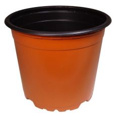 Sadbový květináč - 13 cm - hnědý