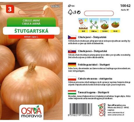 Cibule ŠTUTGARTSKÁ