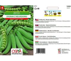 Hrách setý ZÁZRAK Z KELVEDONU