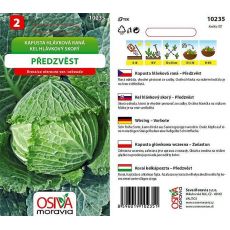 Kapusta PŘEDZVĚST