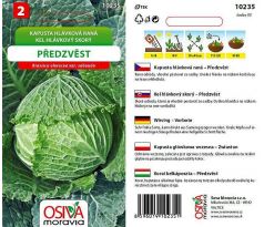 Kapusta PŘEDZVĚST
