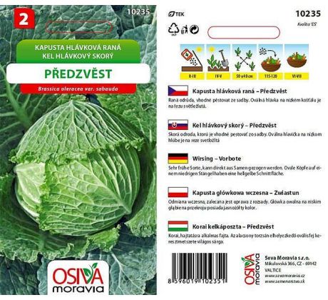 Kapusta PŘEDZVĚST