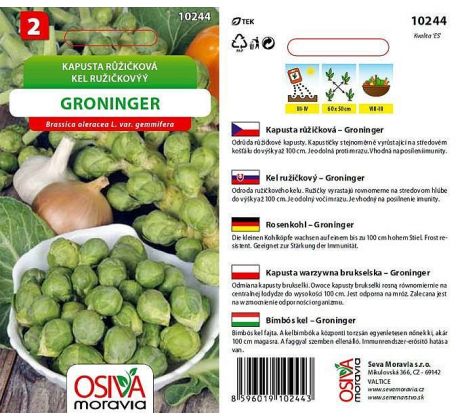 Kapusta GRONINGER