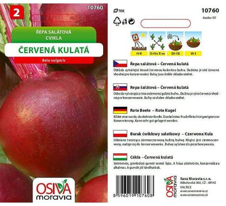 Řepa ČERVENÁ KULATÁ