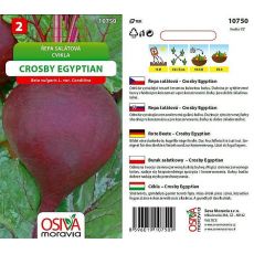 Řepa CROSBY EGYPTIAN