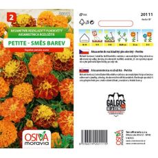 Aksamitník rozkladitý plnokvětý - PETITE směs barev