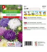 Astra Americká kráska - směs barev