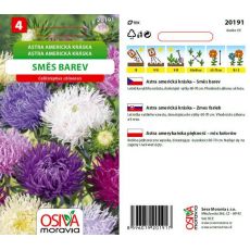 Astra Americká kráska - směs barev