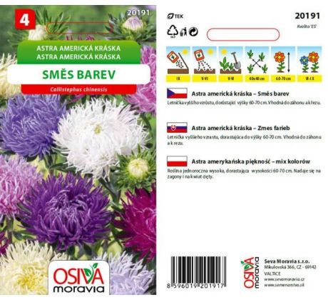 Astra Americká kráska - směs barev